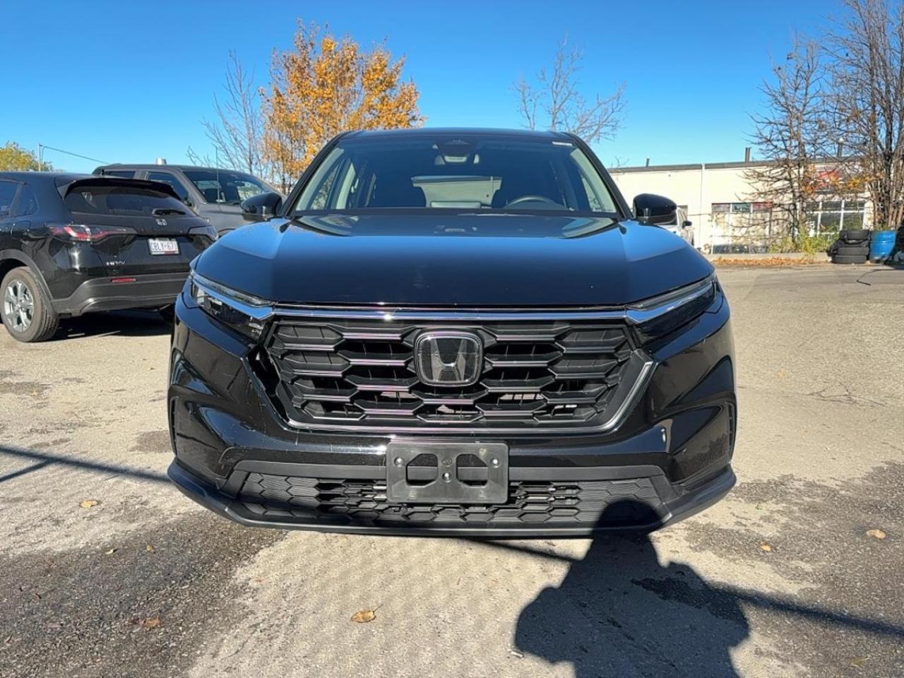 2023 Honda CR-V LX AWD Photo