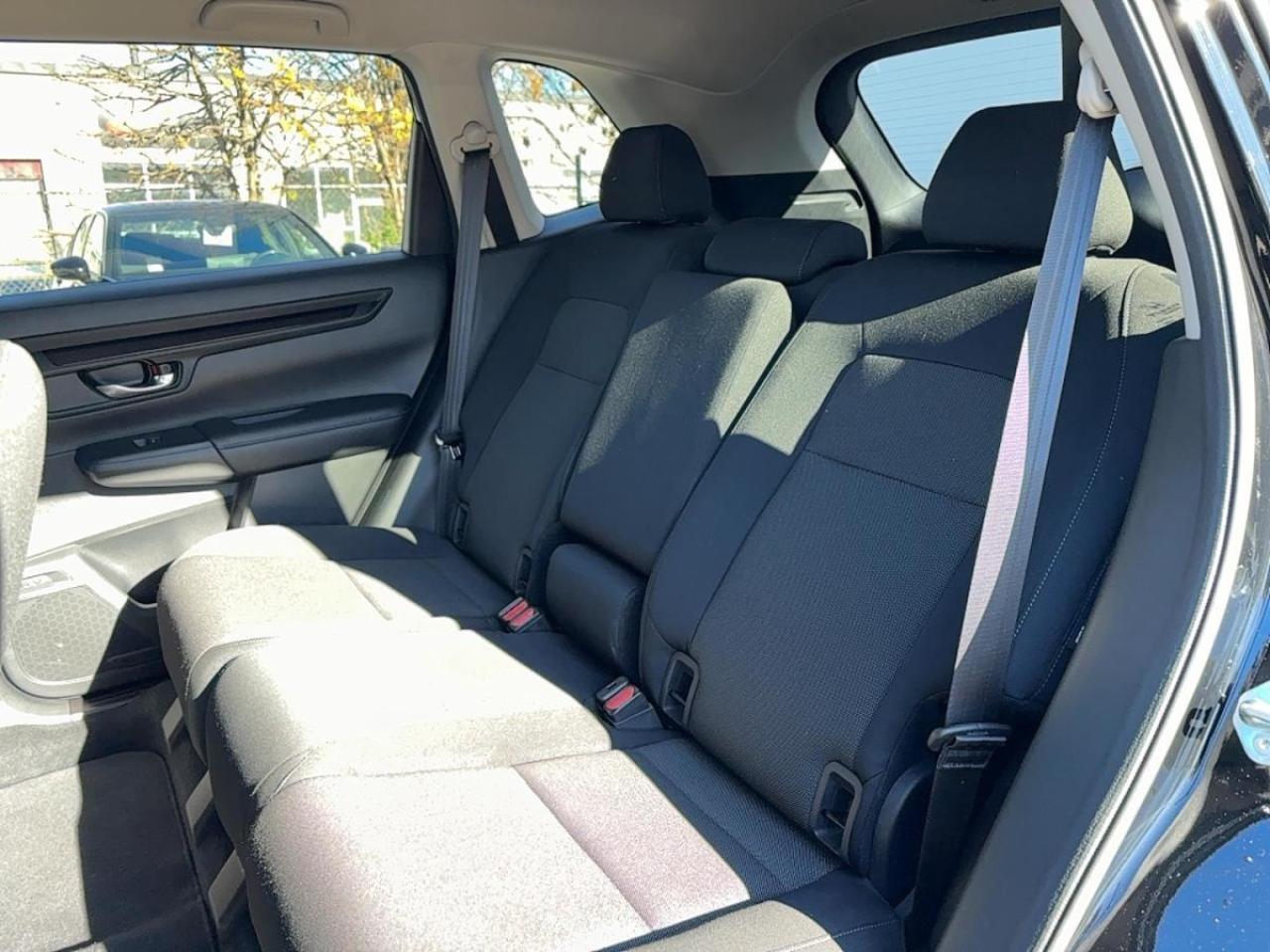 2023 Honda CR-V LX AWD Photo