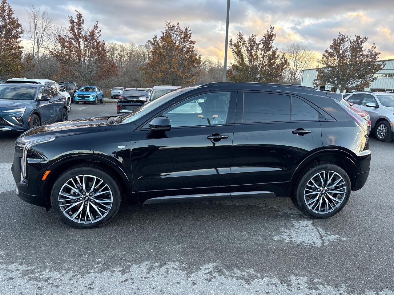 2024 Cadillac XT4 Sport AWD + Sunroof + 20 Alloys + Winters + 1 Owne Photo