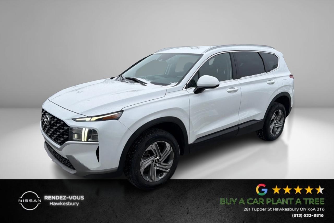 2022 Hyundai Santa Fe ESSENTIAL Photo