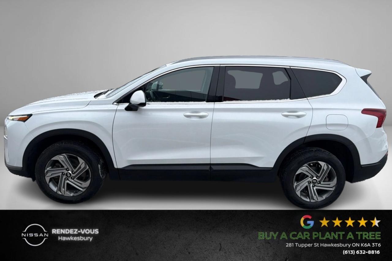 2022 Hyundai Santa Fe ESSENTIAL Photo