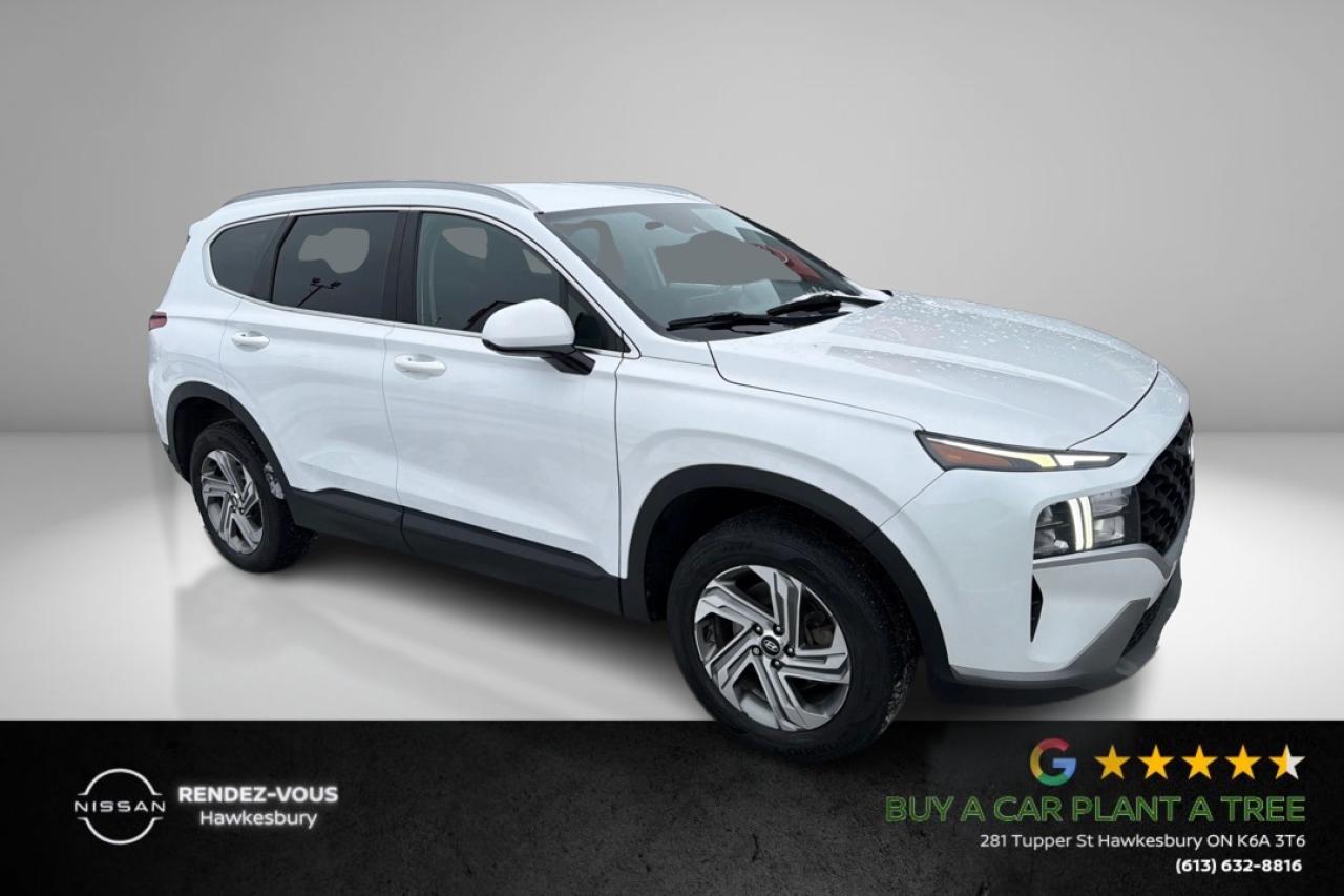 2022 Hyundai Santa Fe ESSENTIAL Photo