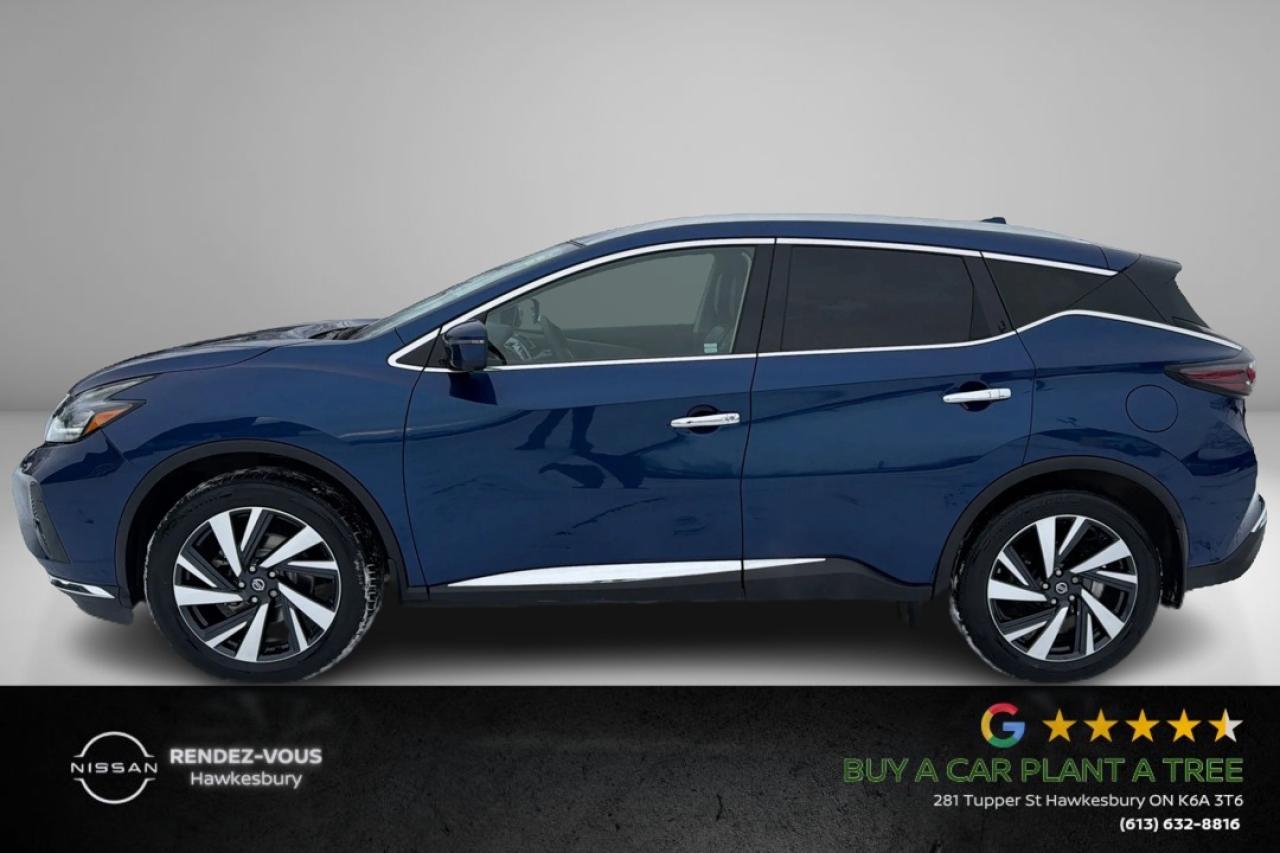 2022 Nissan Murano SL Photo