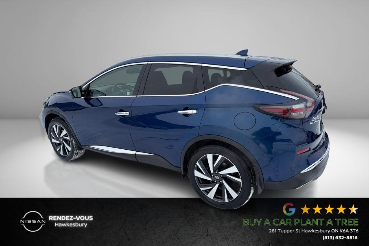 2022 Nissan Murano SL Photo