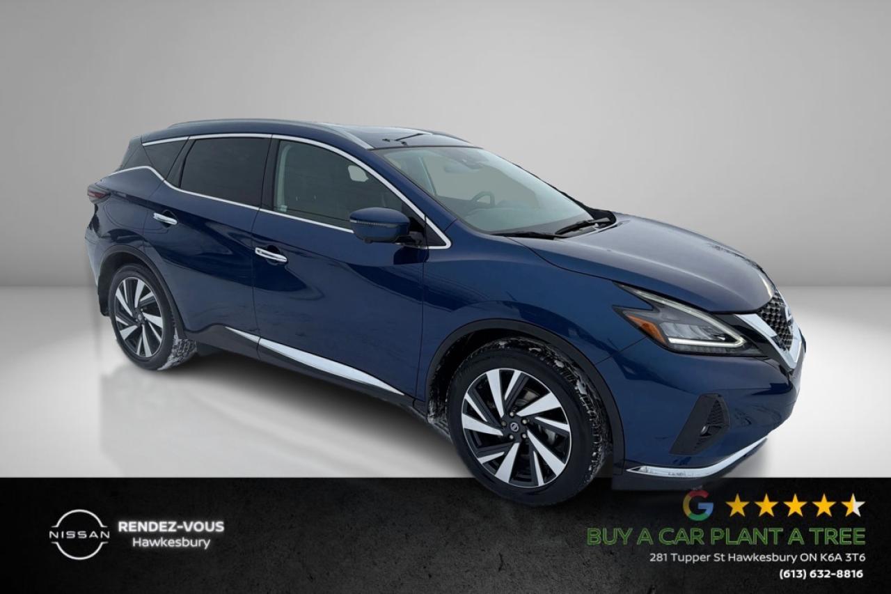 2022 Nissan Murano SL Photo