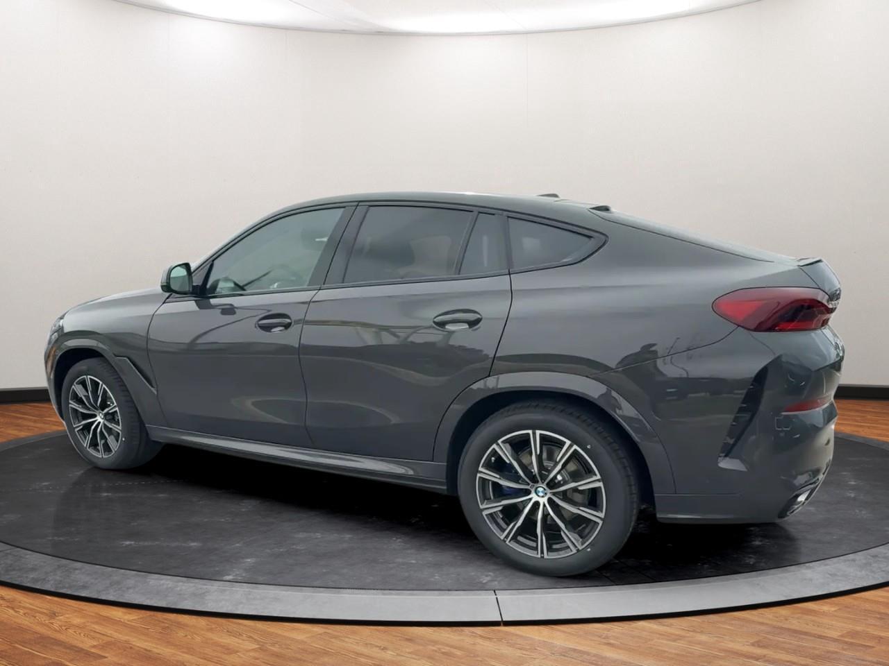 2025 BMW X6 xDrive40i Photo