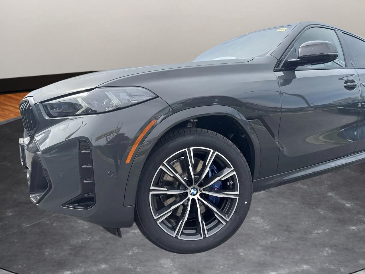 2025 BMW X6 xDrive40i Photo