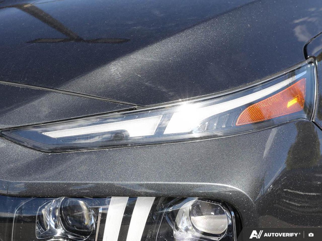 2023 Hyundai Santa Fe Calligraphy Edition   Local Trade 1 Owner &amp; Photo