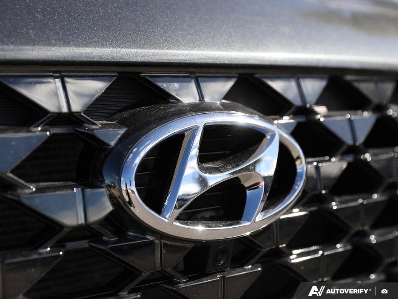 2023 Hyundai Santa Fe Calligraphy Edition   Local Trade 1 Owner &amp; Photo