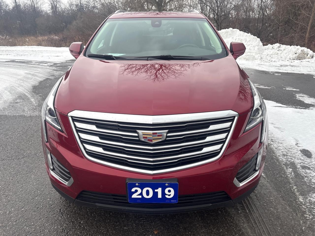 2019 Cadillac XT5 Luxury AWd + Sunroof + Navigation + Drivers Awaren Photo