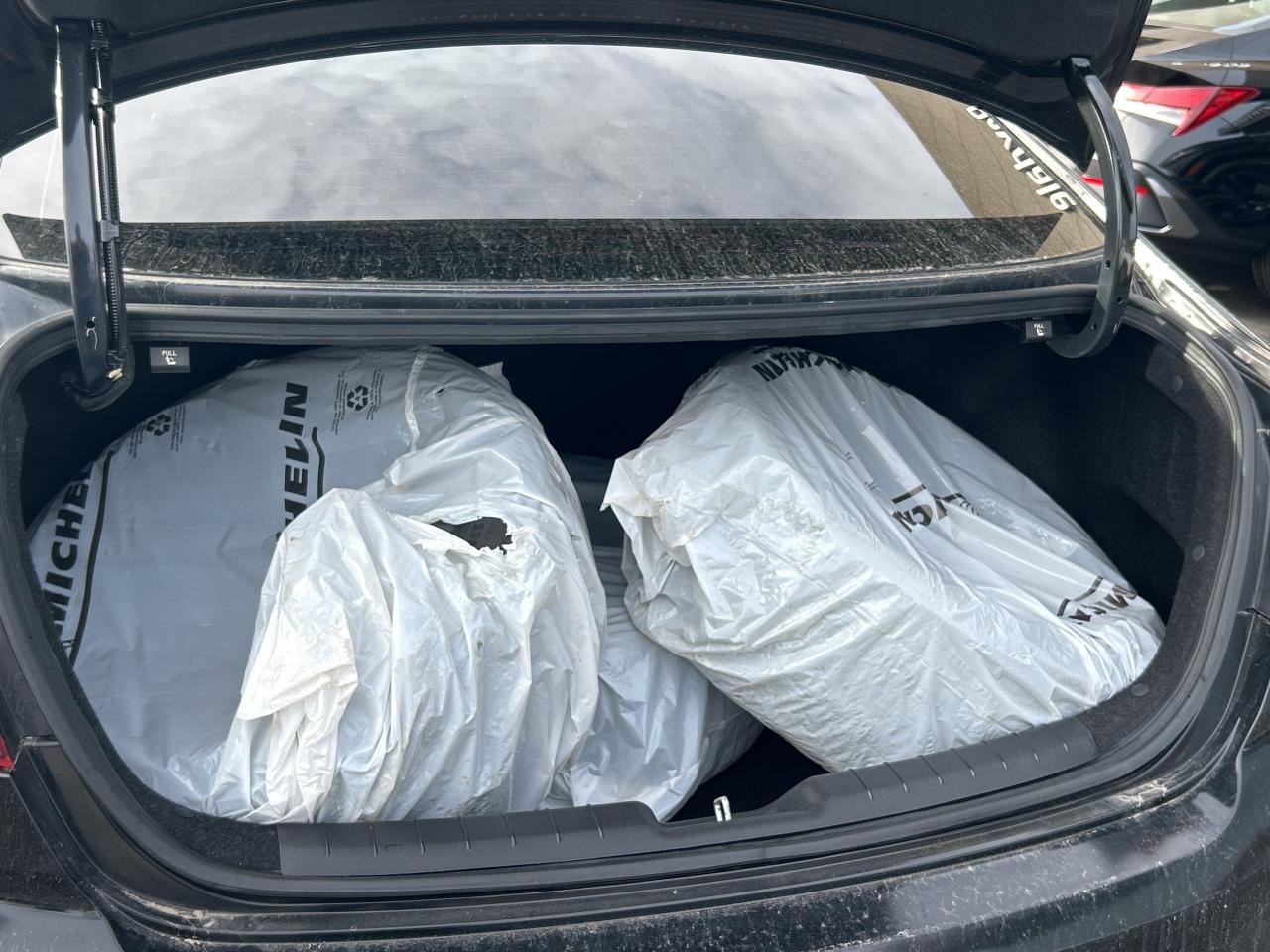 2020 Hyundai Elantra Luxury IVT Photo