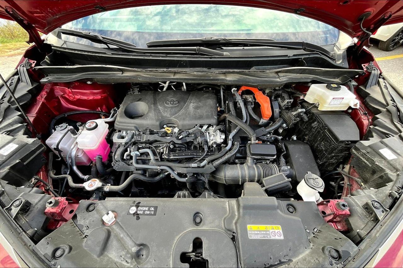 2023 Toyota Sienna XSE AWD 7-Passenger   CarPlay/Android   Navigation Photo