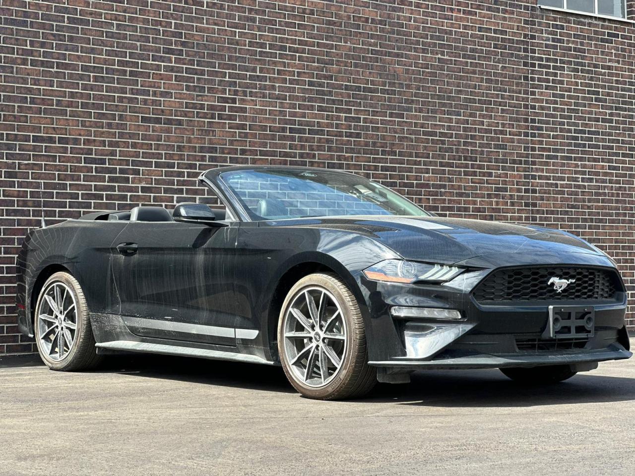 2022 Ford Mustang CONVERTIBLE, LEATHER, NAV, ALLOYS Photo