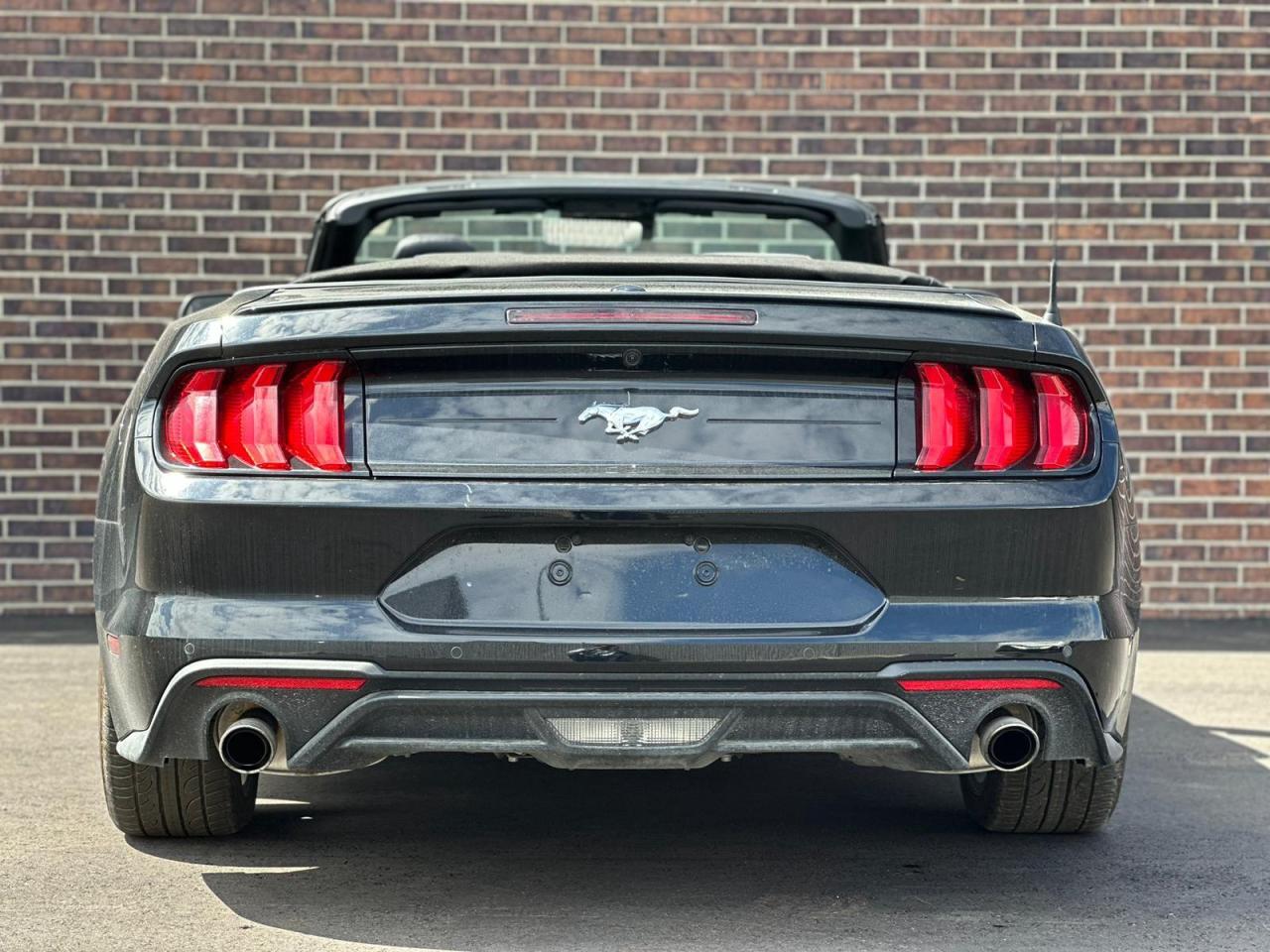 2022 Ford Mustang CONVERTIBLE, LEATHER, NAV, ALLOYS Photo