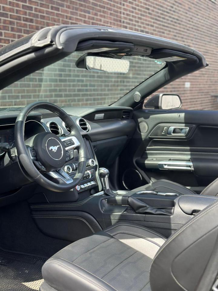 2022 Ford Mustang CONVERTIBLE, LEATHER, NAV, ALLOYS Photo