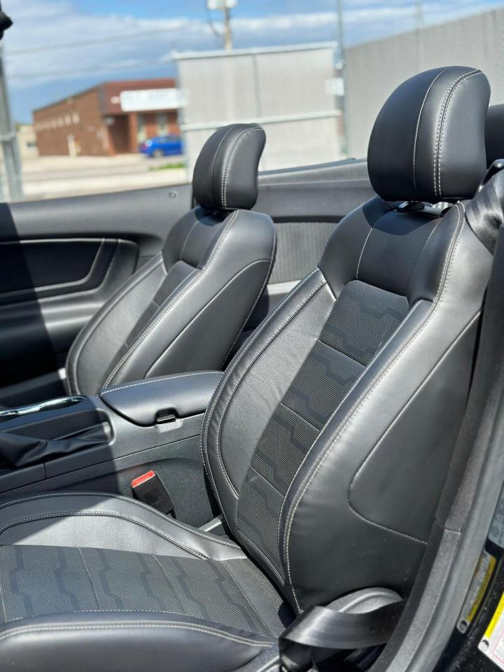 2022 Ford Mustang CONVERTIBLE, LEATHER, NAV, ALLOYS Photo