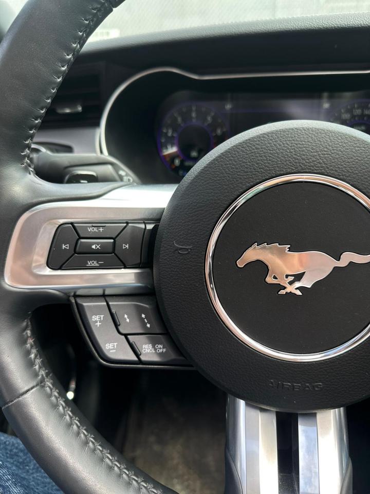 2022 Ford Mustang CONVERTIBLE, LEATHER, NAV, ALLOYS Photo