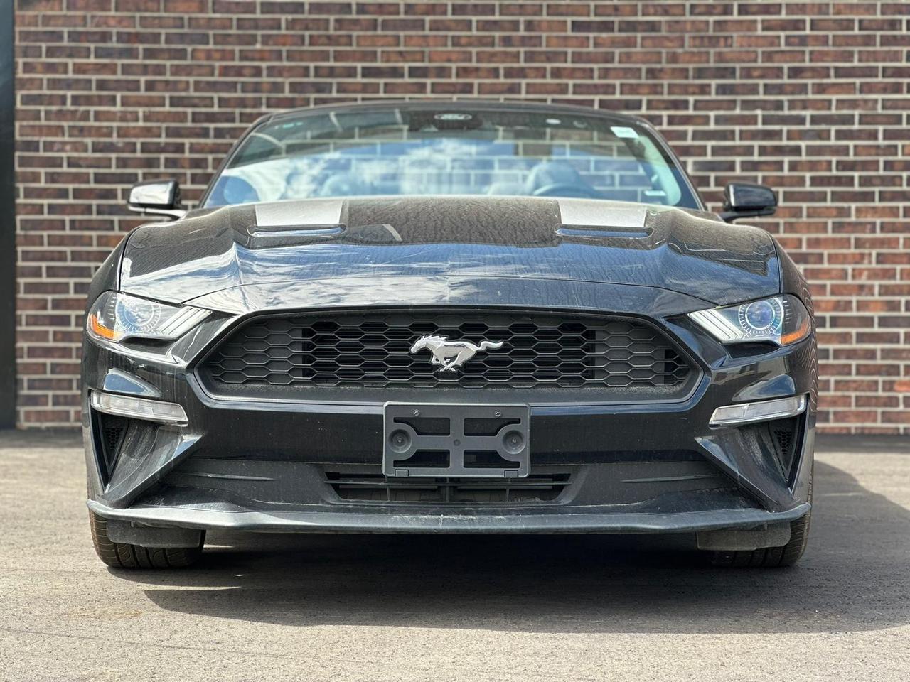 2022 Ford Mustang CONVERTIBLE, LEATHER, NAV, ALLOYS Photo4
