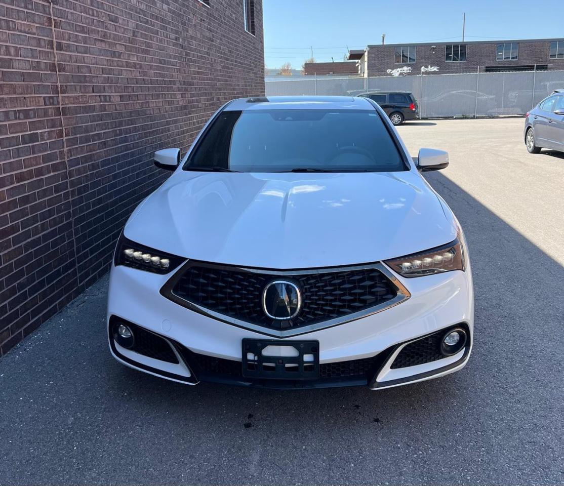 2019 Acura TLX TECH A SPEC, LEATHER, NAVI, SUNROOF Photo