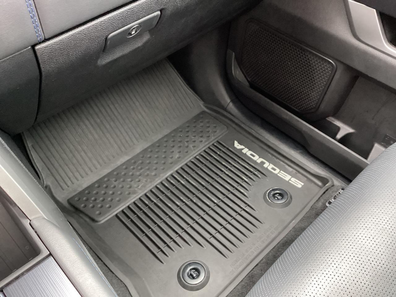 2025 Toyota Sequoia PLATINUM 4WD Photo