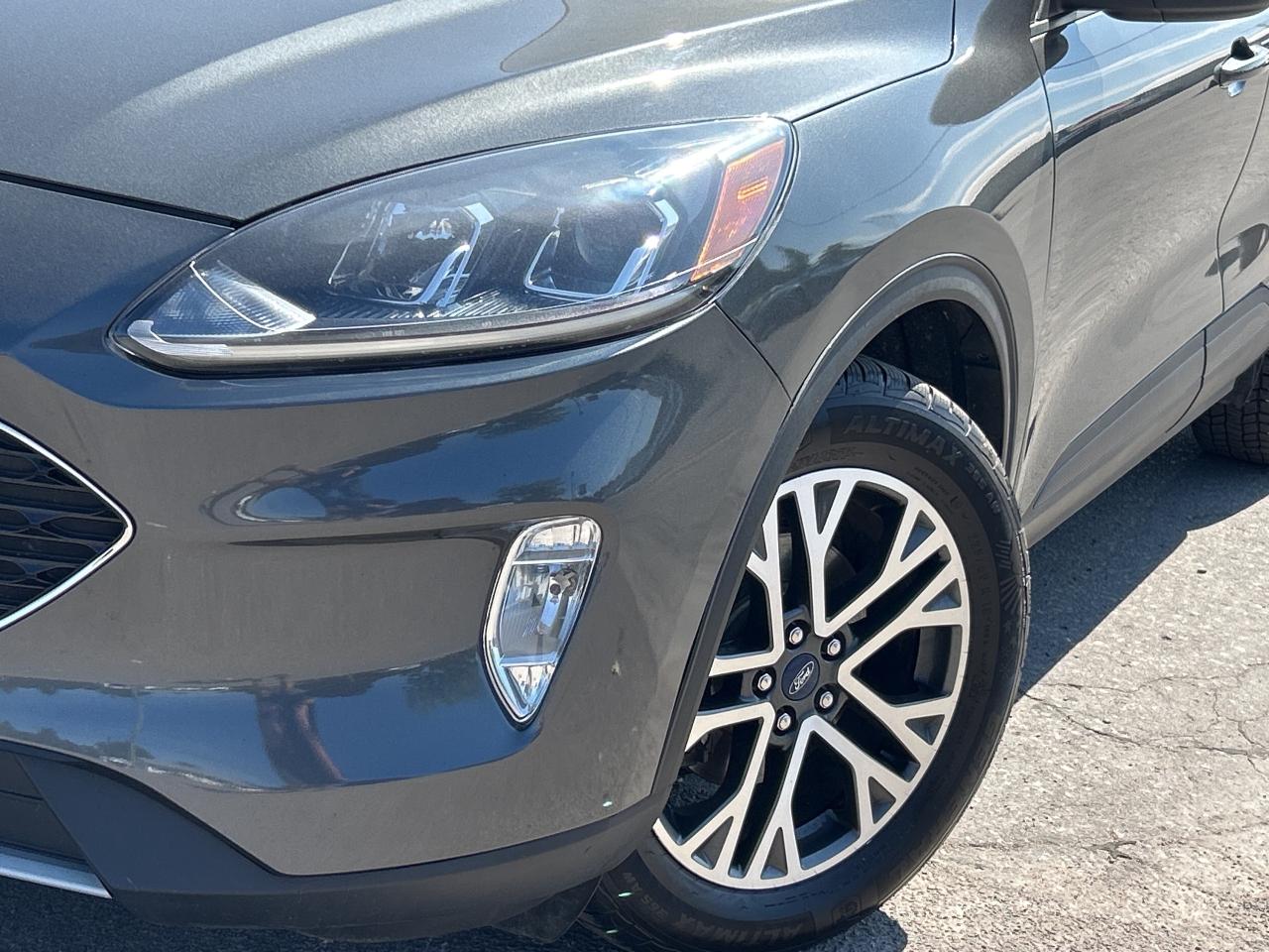 2020 Ford Escape SEL AWD/REMOTE START/NAV/PWR LIFT GATE CALL PICTON Photo