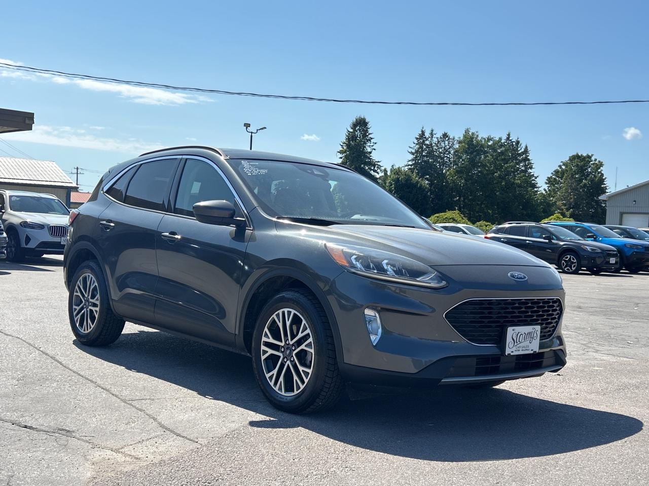 2020 Ford Escape SEL AWD/REMOTE START/NAV/PWR LIFT GATE CALL PICTON Photo