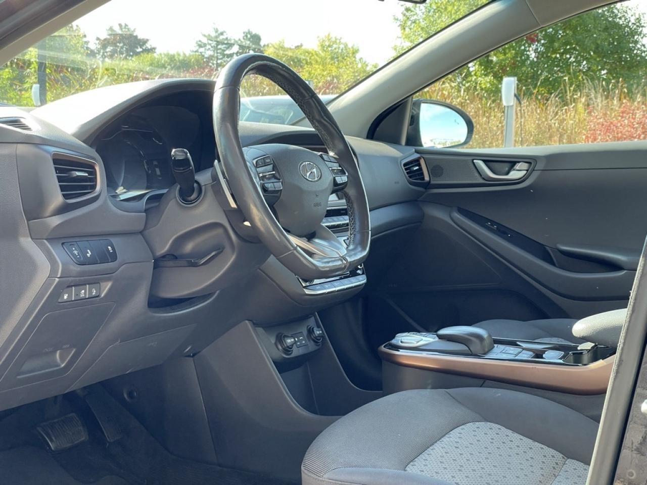 2018 Hyundai Ioniq Electric SE Cold Climate Package   No Accidents! HEAT PUMP! Photo