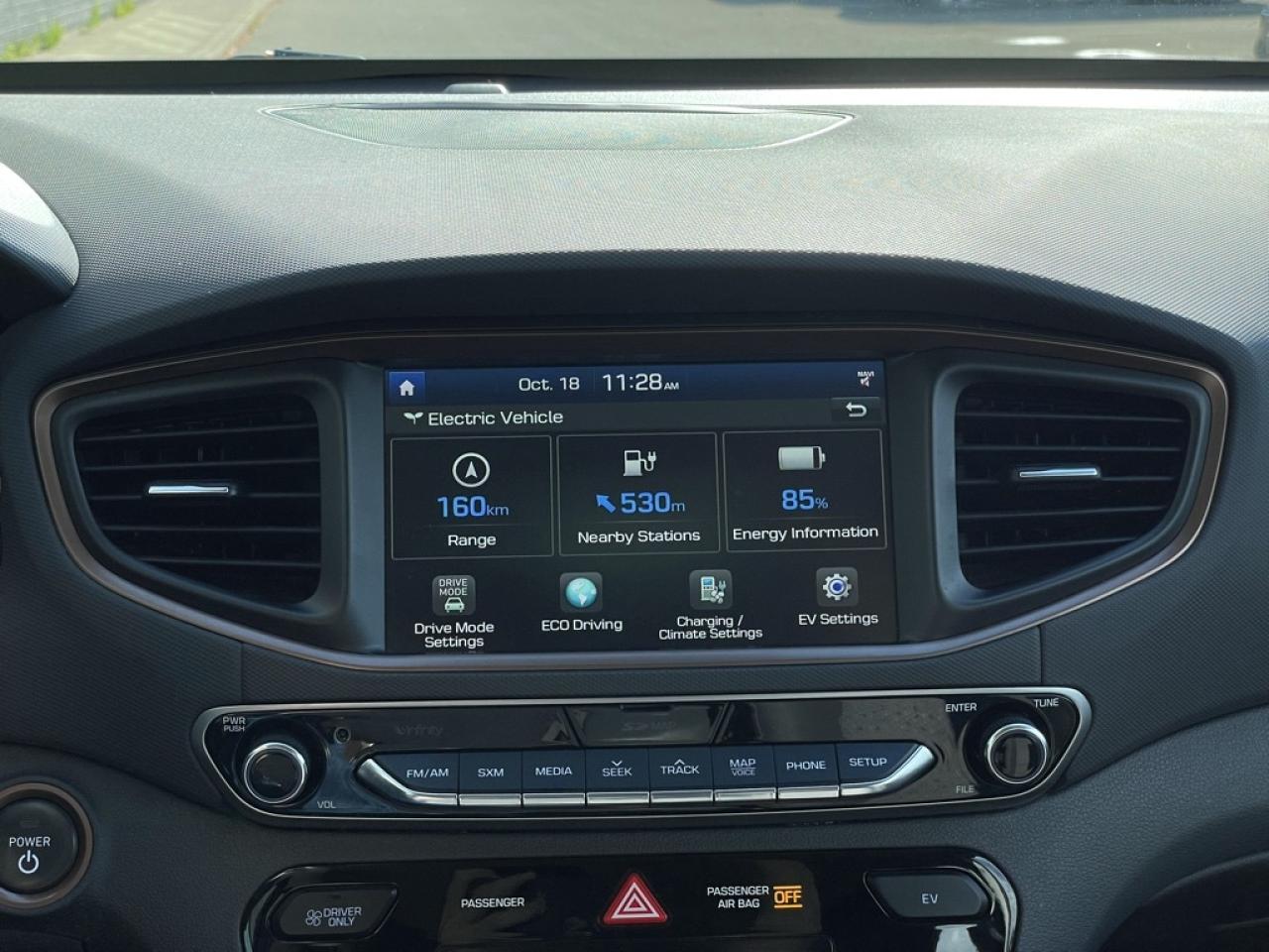 2018 Hyundai Ioniq Electric SE Cold Climate Package   No Accidents! HEAT PUMP! Photo