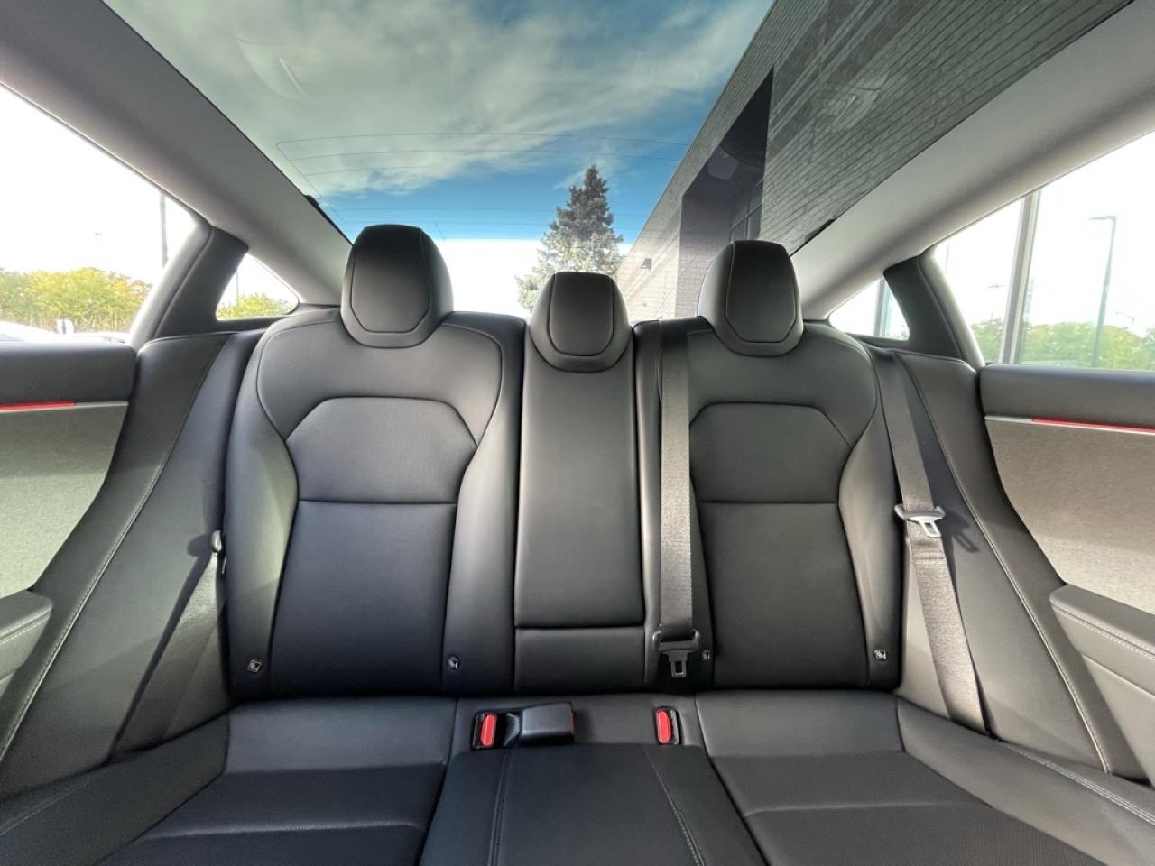 2024 Tesla Model 3 RWD   1 Owner! Clean CARFAX! Photo