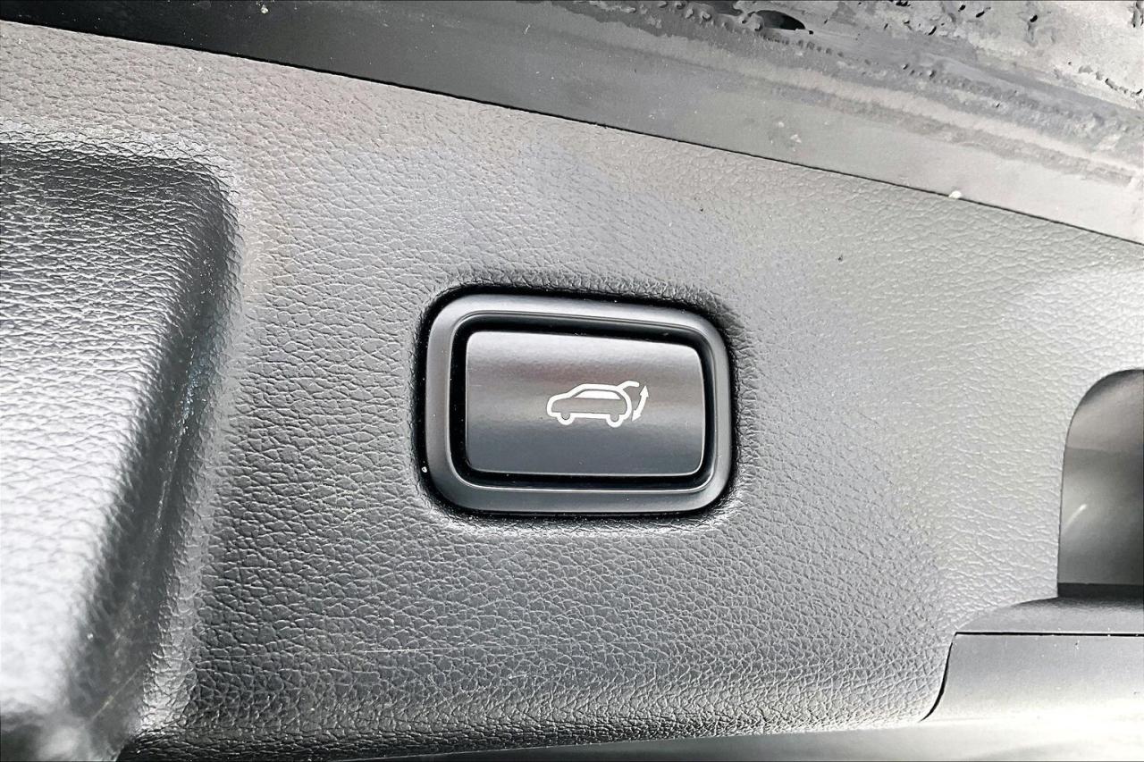 2022 Kia Telluride SX LIMITED   TOP OF LINE   NAVIGATION   PANO ROOF Photo