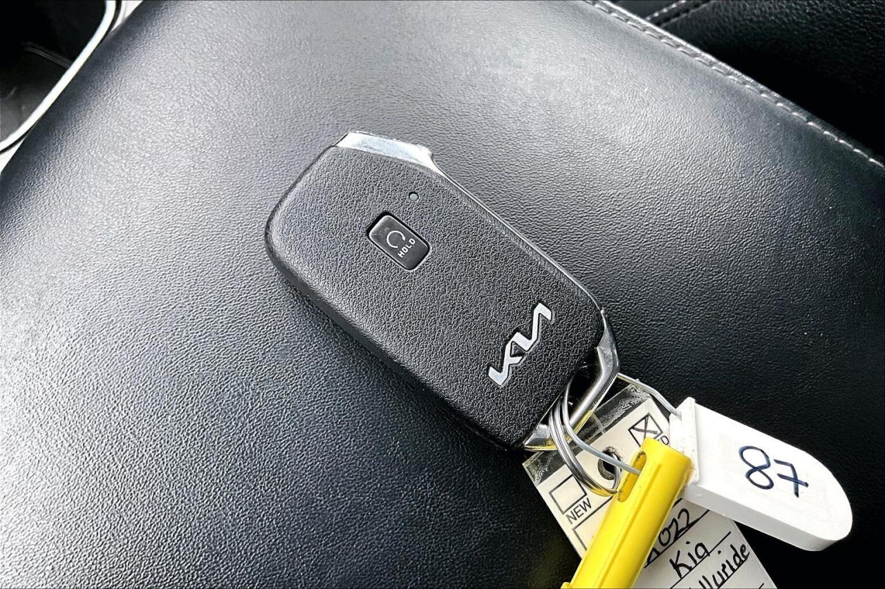 2022 Kia Telluride SX LIMITED   TOP OF LINE   NAVIGATION   PANO ROOF Photo