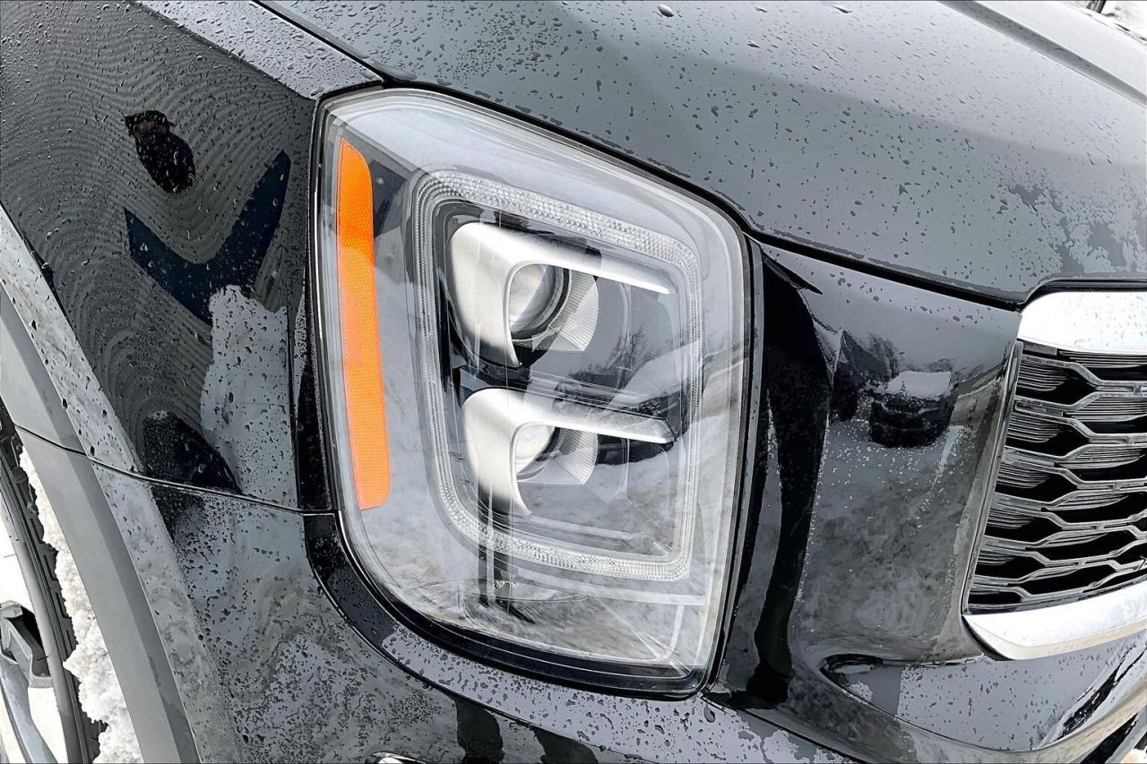 2022 Kia Telluride SX LIMITED   TOP OF LINE   NAVIGATION   PANO ROOF Photo