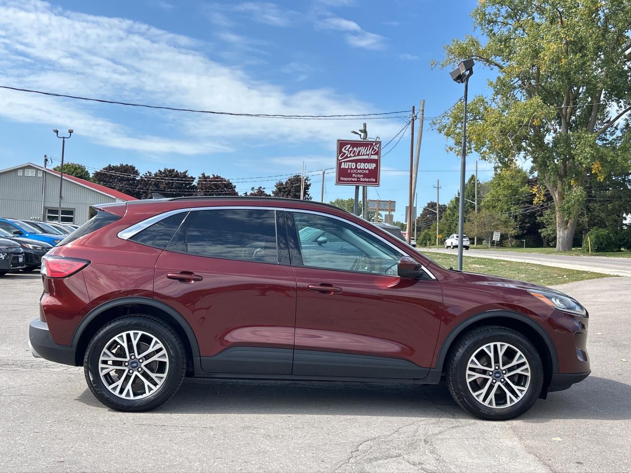 2021 Ford Escape SEL AWD/REMOTE START/PWR LIFT GATE CALL PICTON 88K Photo