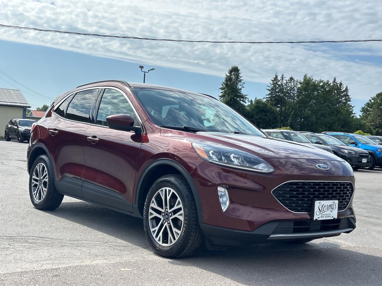 2021 Ford Escape SEL AWD/REMOTE START/PWR LIFT GATE CALL PICTON 88K Photo