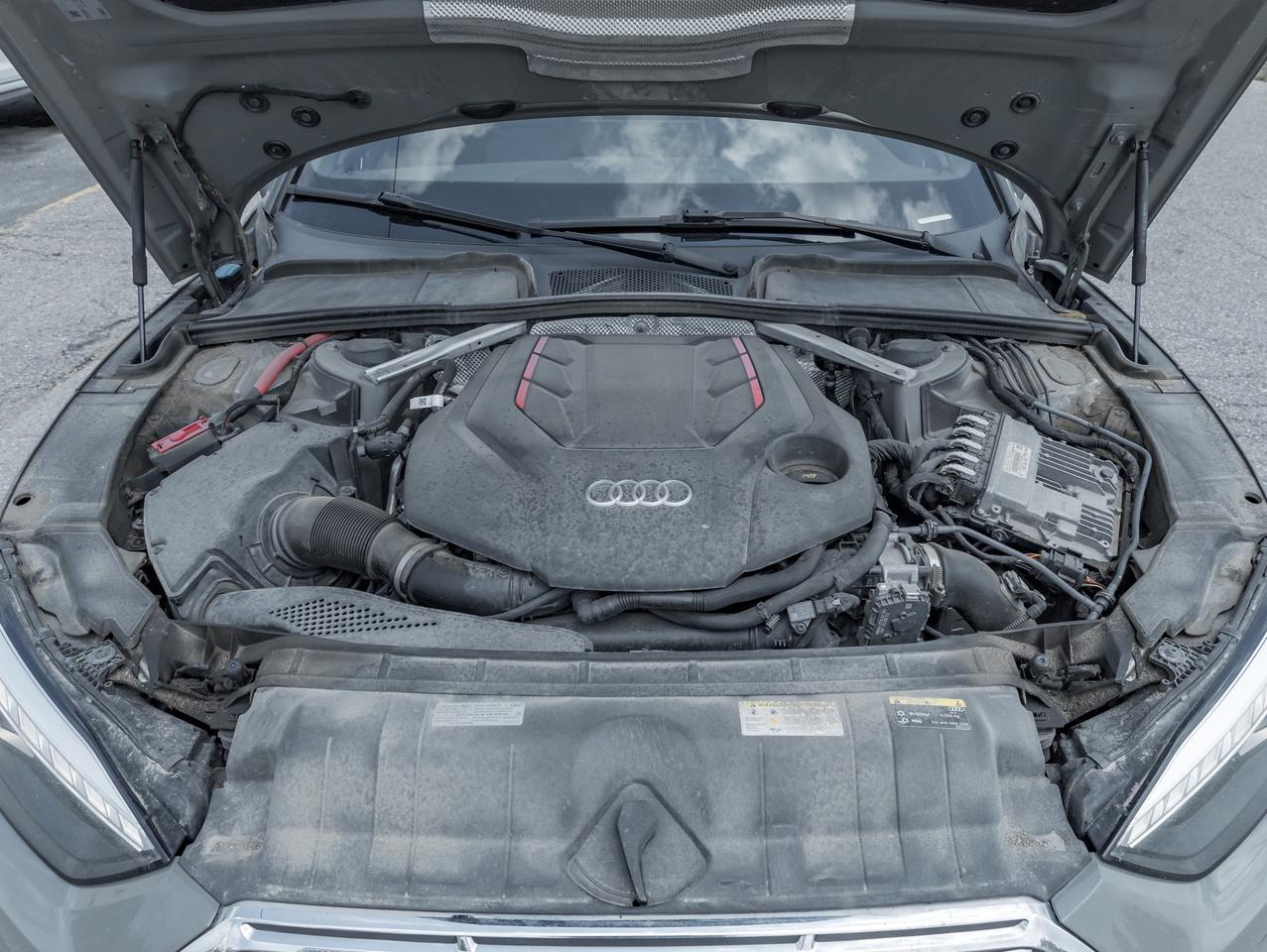 2022 Audi S5 Technik 3.0 TFSI quattro  NAVI   ROOF  LOADED Photo