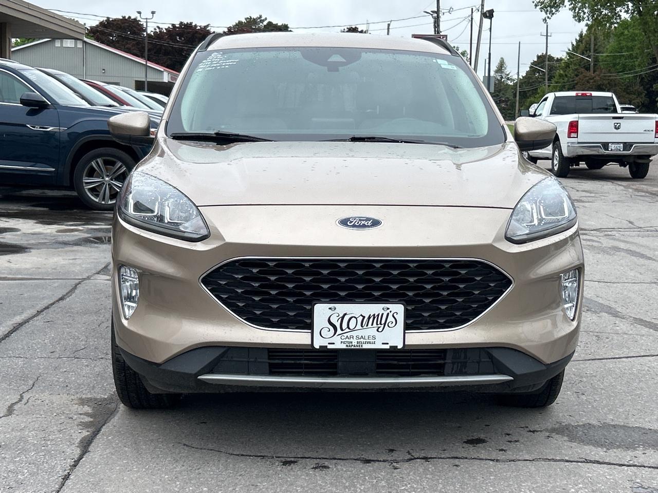 2020 Ford Escape SEL AWD/REMOTE START/PWR LIFT GATE CALL PICTON 69K Photo