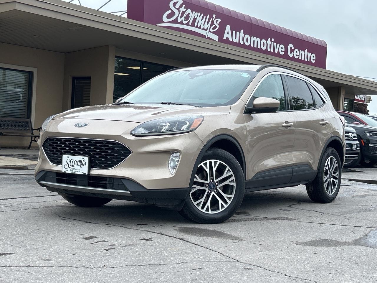 2020 Ford Escape SEL AWD/REMOTE START/PWR LIFT GATE CALL PICTON 69K Photo