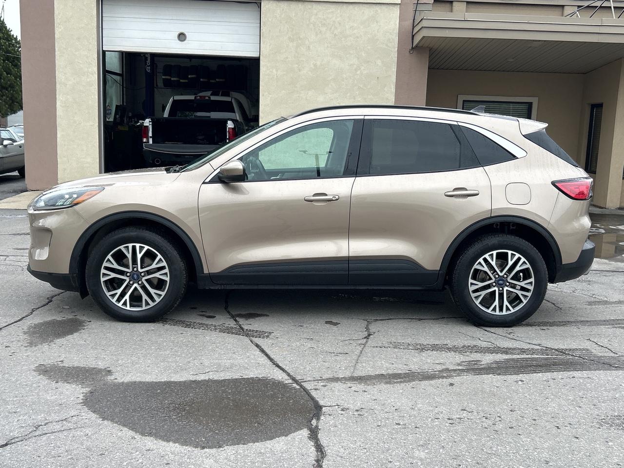 2020 Ford Escape SEL AWD/REMOTE START/PWR LIFT GATE CALL PICTON 69K Photo