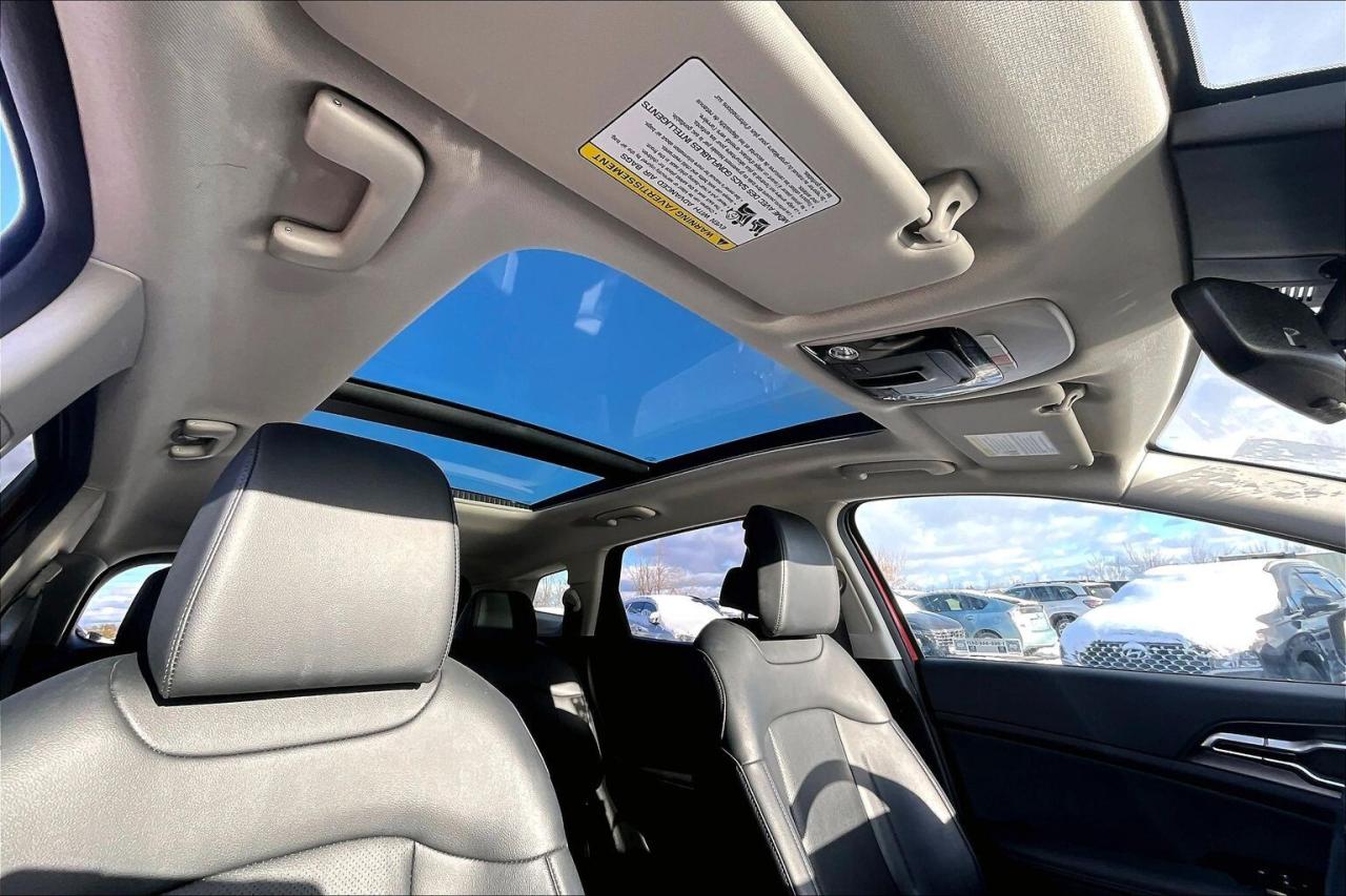 2024 Kia Sportage EX Premium AWD   Heat/Cool Leather Seats   Sunroof Photo