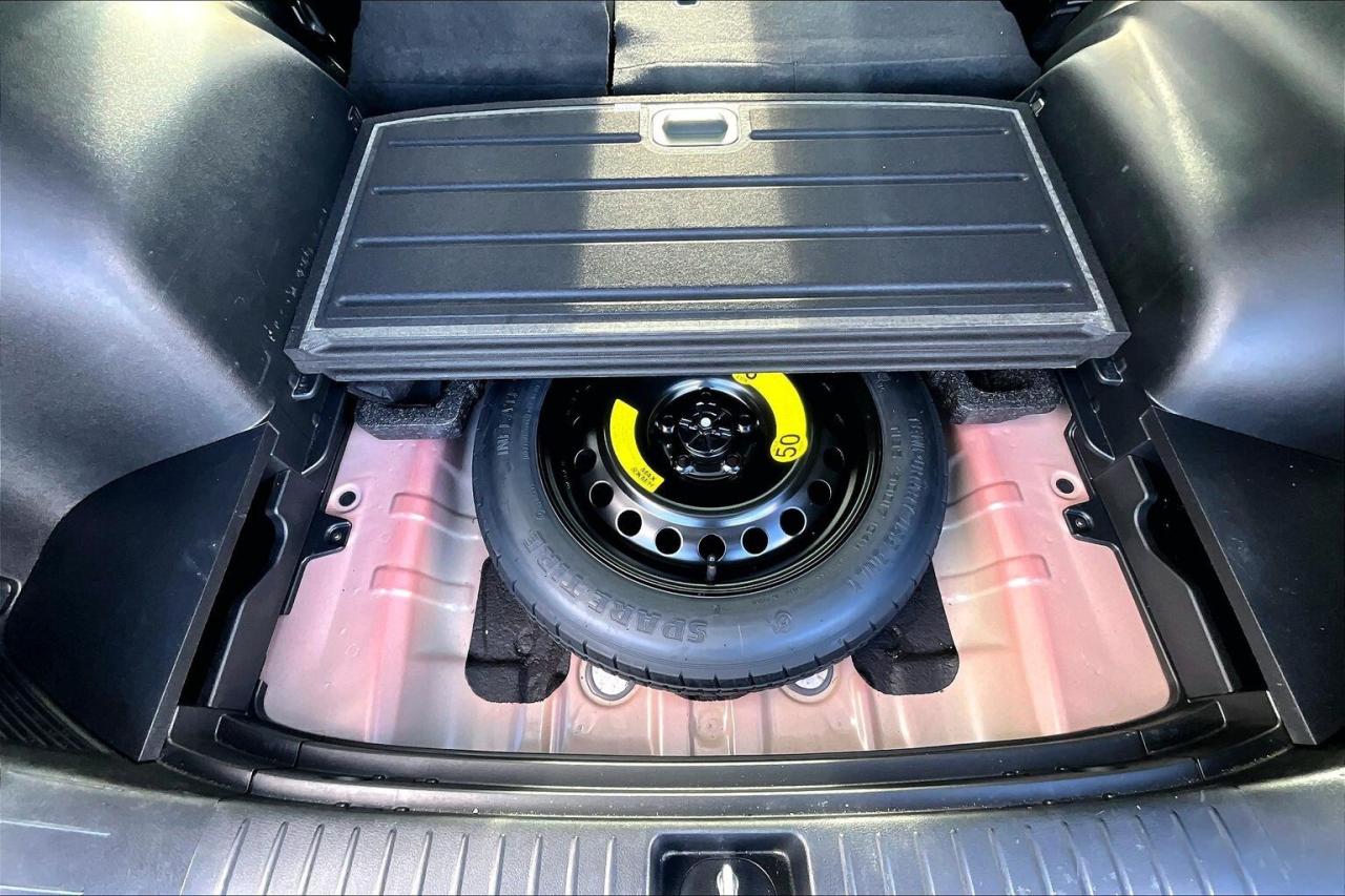 2024 Kia Sportage EX Premium AWD   Heat/Cool Leather Seats   Sunroof Photo