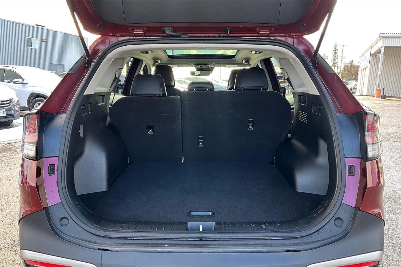 2024 Kia Sportage EX Premium AWD   Heat/Cool Leather Seats   Sunroof Photo
