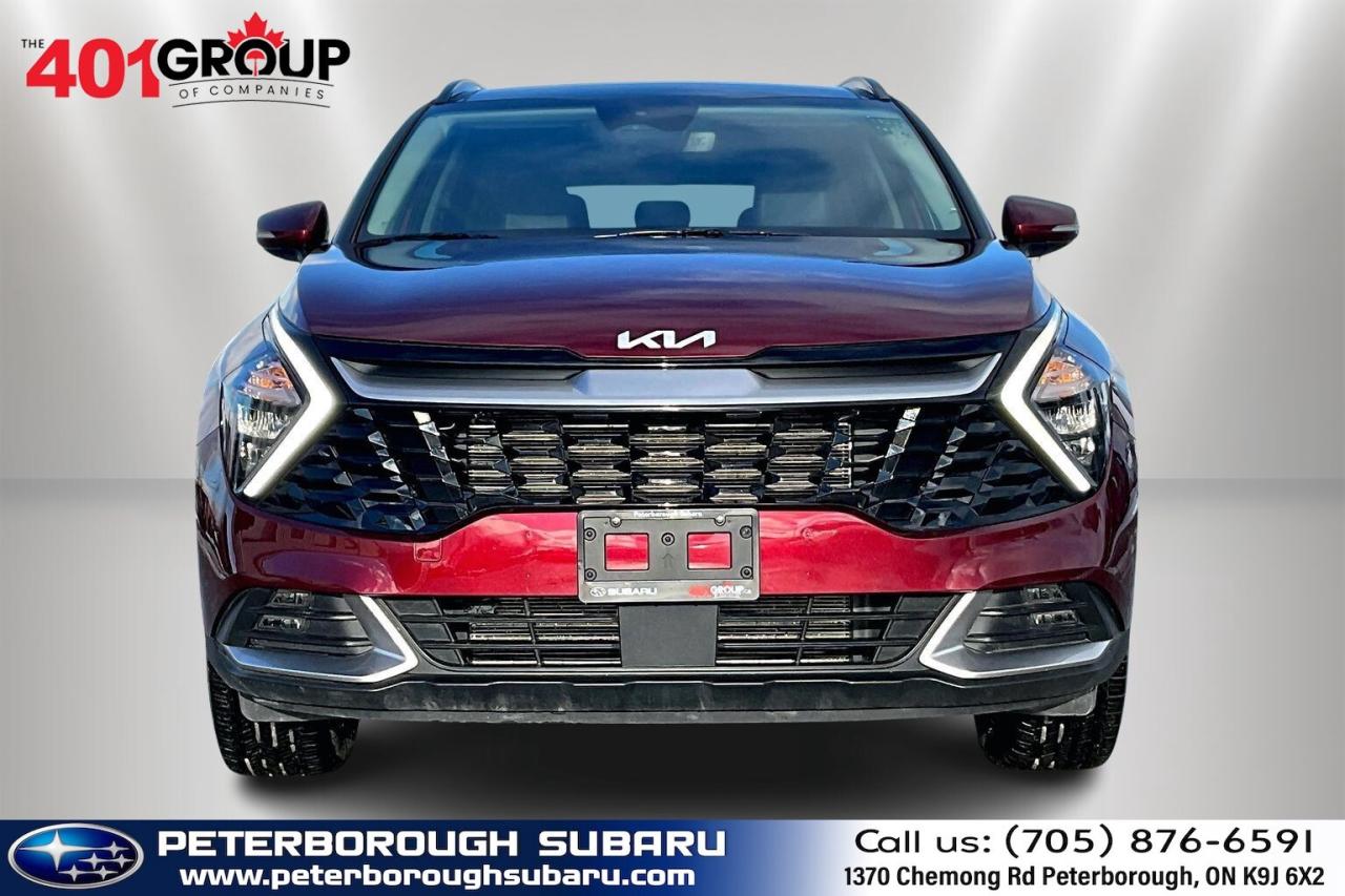 2024 Kia Sportage EX Premium AWD   Heat/Cool Leather Seats   Sunroof Photo