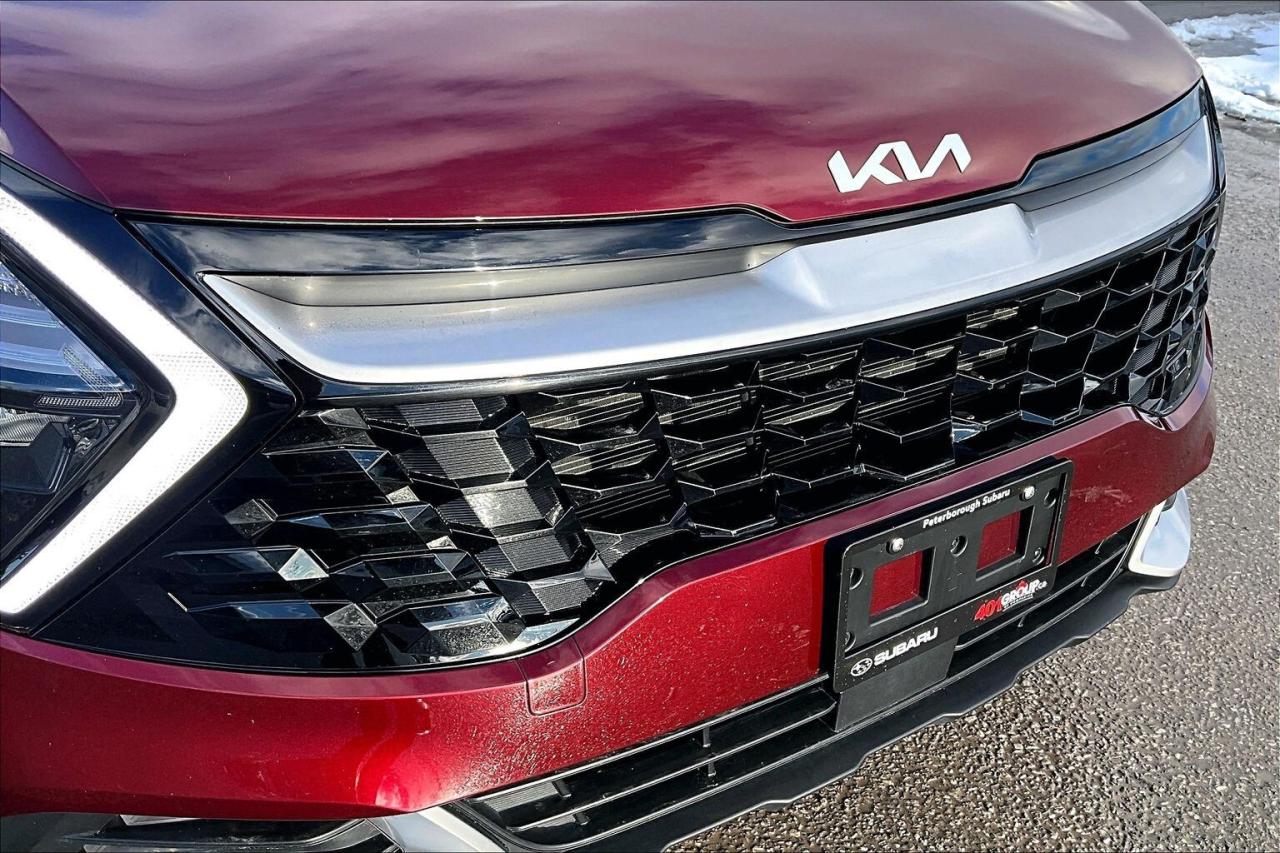 2024 Kia Sportage EX Premium AWD   Heat/Cool Leather Seats   Sunroof Photo