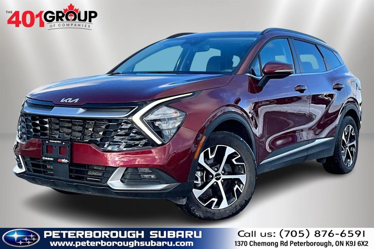 2024 Kia Sportage EX Premium AWD   Heat/Cool Leather Seats   Sunroof Photo