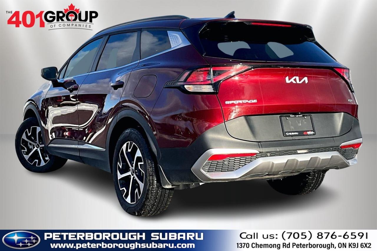2024 Kia Sportage EX Premium AWD   Heat/Cool Leather Seats   Sunroof Photo