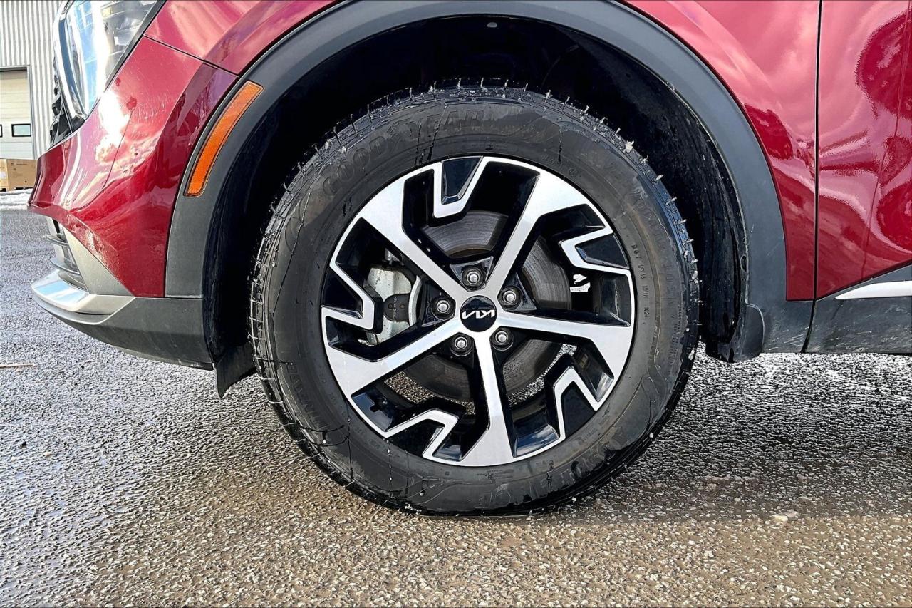 2024 Kia Sportage EX Premium AWD   Heat/Cool Leather Seats   Sunroof Photo