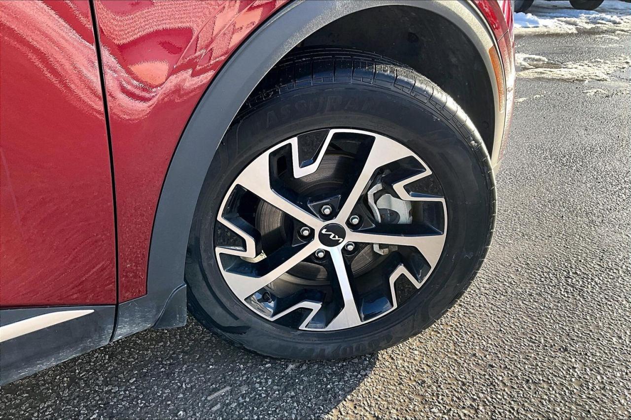 2024 Kia Sportage EX Premium AWD   Heat/Cool Leather Seats   Sunroof Photo