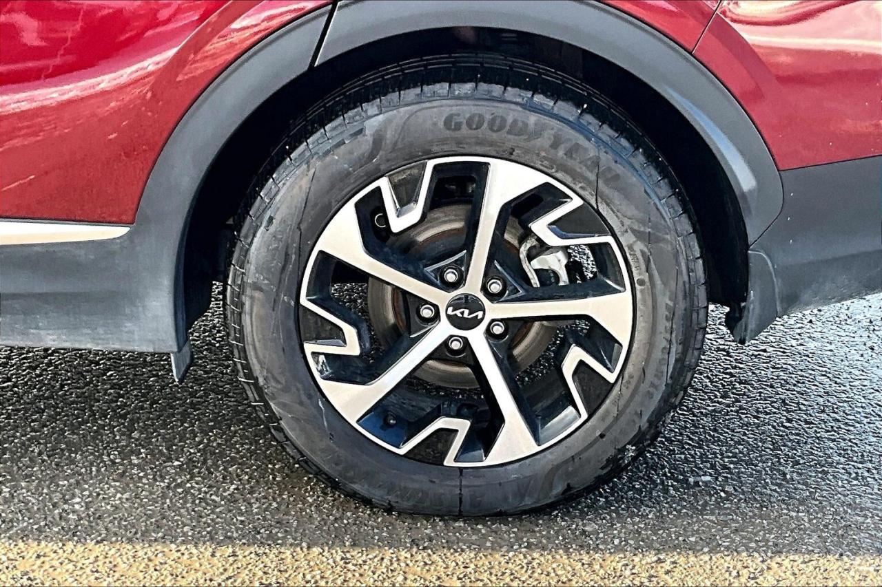 2024 Kia Sportage EX Premium AWD   Heat/Cool Leather Seats   Sunroof Photo