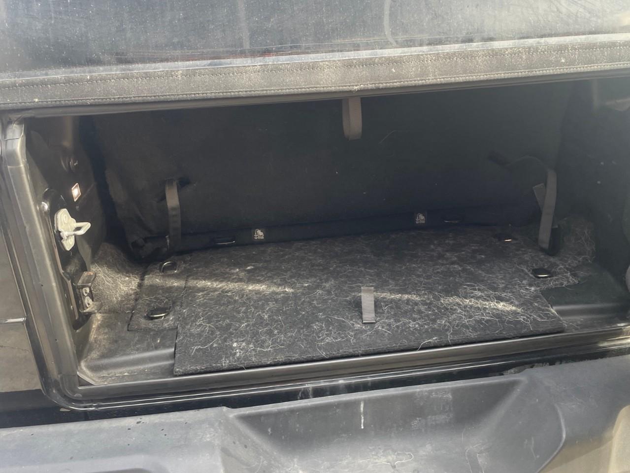 2019 Jeep Wrangler  Photo