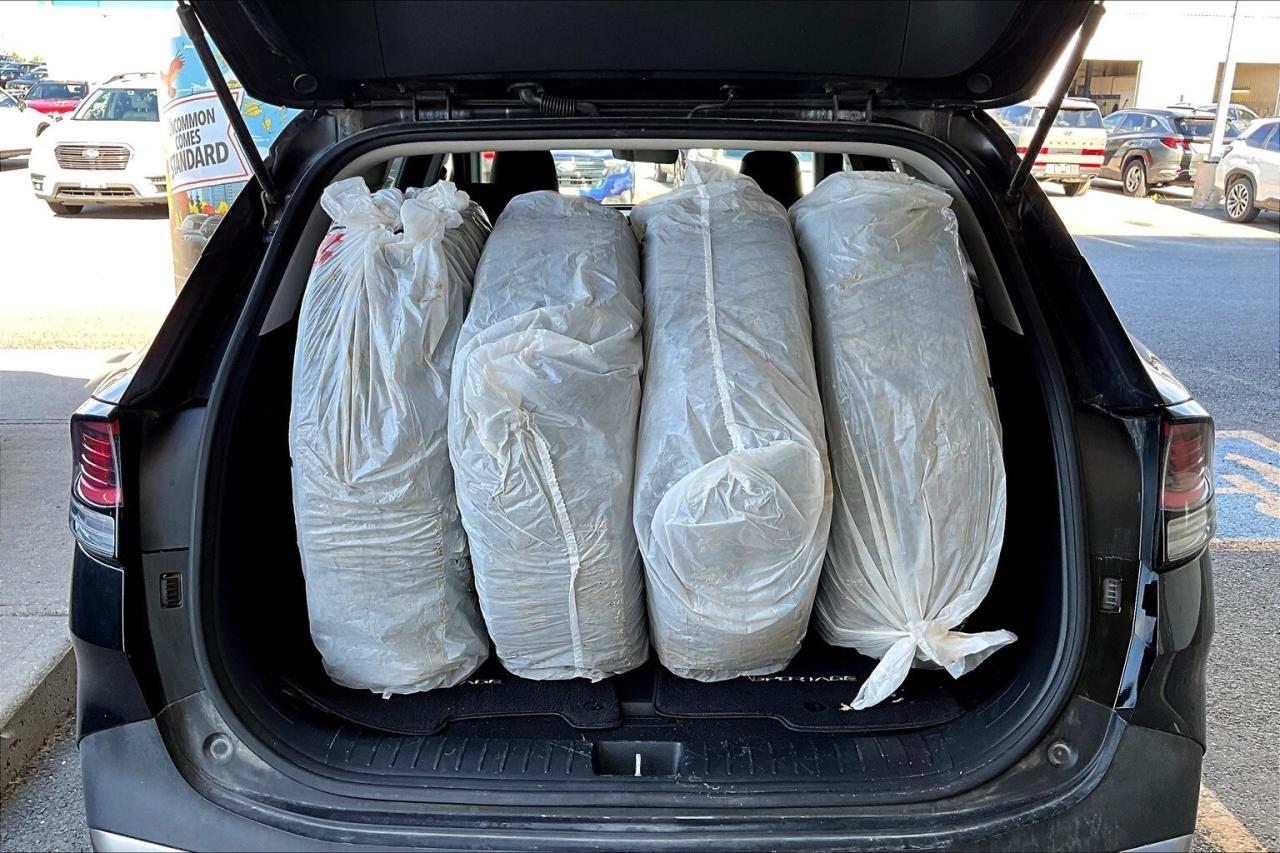 2023 Kia Sportage LX FWD   Heated Seats   Apple CarPlay/Android Auto Photo